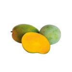 Manga Espada Kg Granel