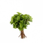 Hortela 1un