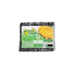 Mariola Campista 400g Palito Cristal.