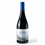 Vinho Chi Reserve Cantera 750ml Tinto Pin.noir