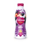 Bebida Lact.ferm.vale Carioca 900g Ameixa