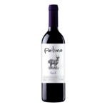 Vinho Chi Pailimo Reservado 750ml Tto Syrah