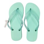 Chinelo Classica Ipanema Fem.verde