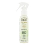Home Spray Secar 120ml Authentique