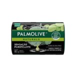 Sabonete Barra Nat.palmolive 85g Sens.purificant