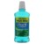 Antissep.bucal Oral-b 500mlpg 300ml Hortela