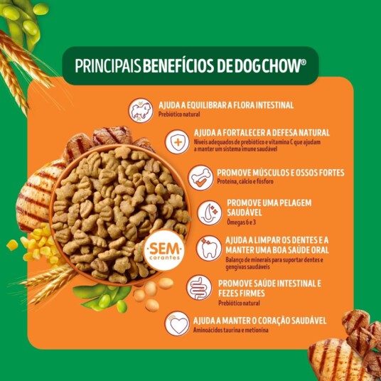 Racao P/caes Dog Chow 900g Ad.min.pequeno