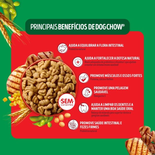 Racao P/caes Dog Chow 900g Ad.med.grande