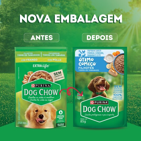 Papinha P/caes Dog Chow 85g Filh.fgo.leite