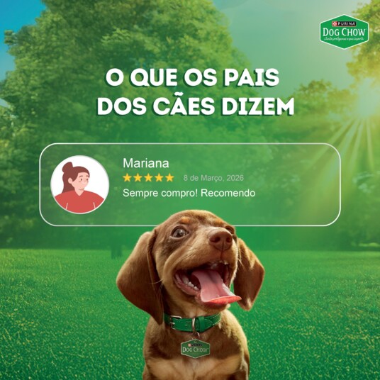 Papinha P/caes Dog Chow 85g Filh.fgo.leite