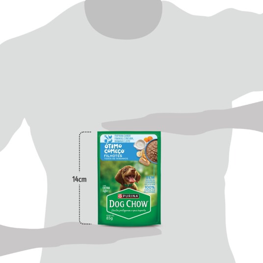 Papinha P/caes Dog Chow 85g Filh.fgo.leite