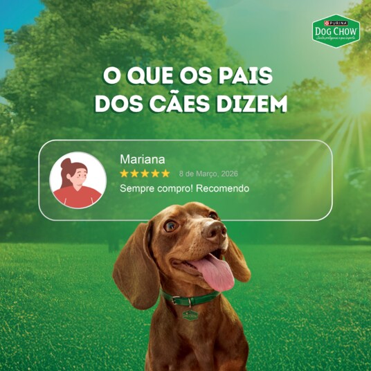 Papinha P/caes Dog Chow 85g Ad.fgo.arroz