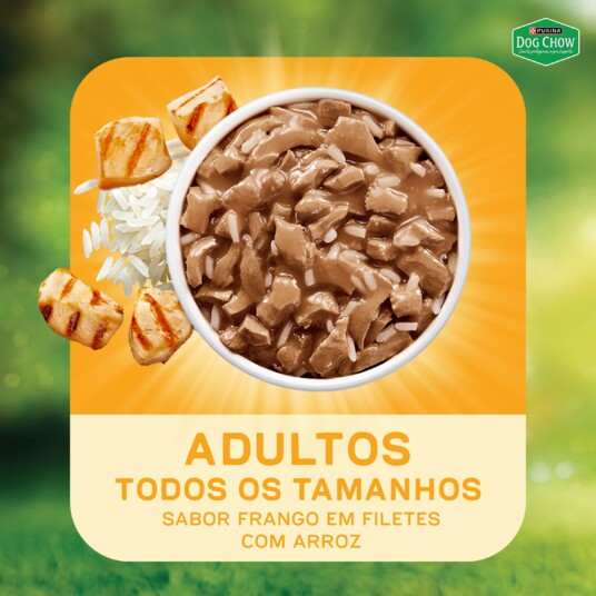 Papinha P/caes Dog Chow 85g Ad.fgo.arroz