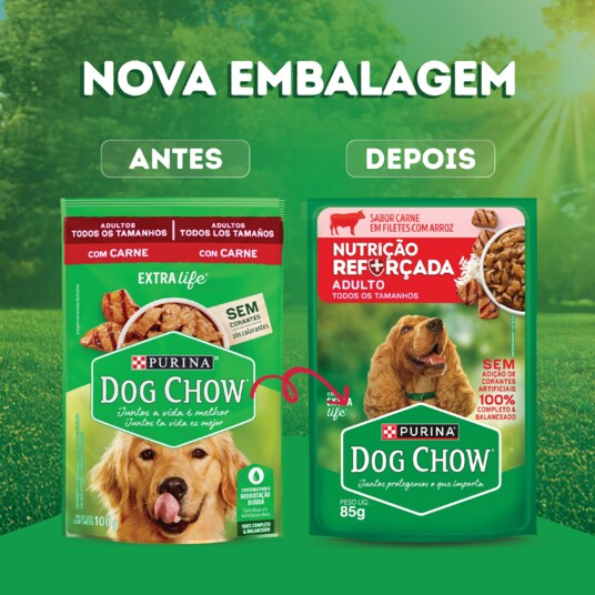 Papinha P/caes Dog Chow 85g Ad.carne Arroz