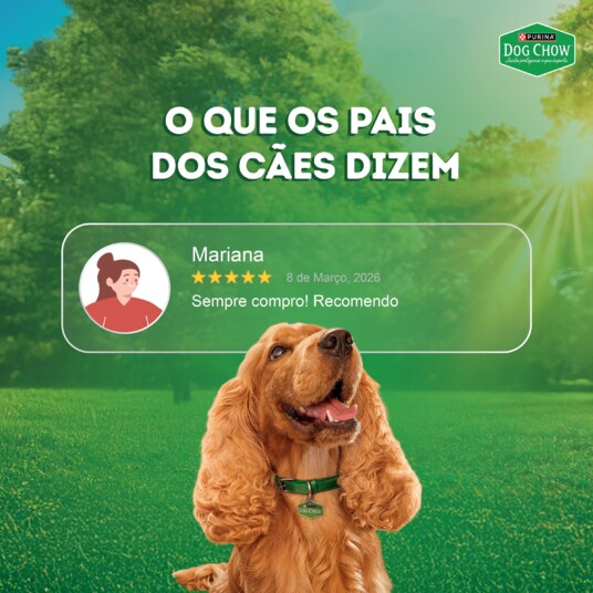 Papinha P/caes Dog Chow 85g Ad.carne Arroz
