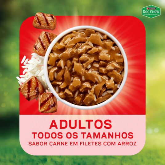 Papinha P/caes Dog Chow 85g Ad.carne Arroz