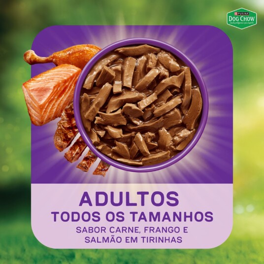 Papinha P/caes Dog Chow 85g Ad.triplopr.slm
