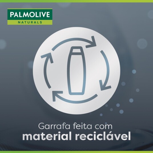 Shampoo Palmolive 315ml Anticaspa Antic