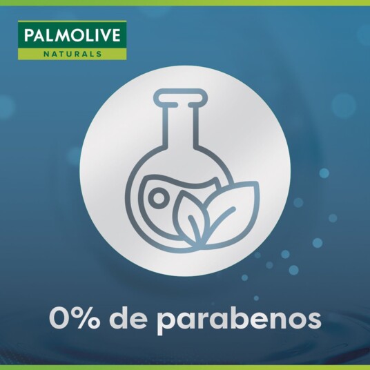 Shampoo Palmolive 315ml Anticaspa Antiq