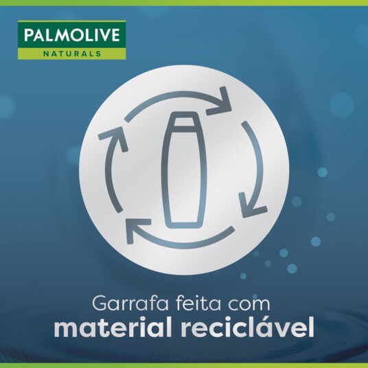 Shampoo Palmolive 315ml Anticaspa Antiq