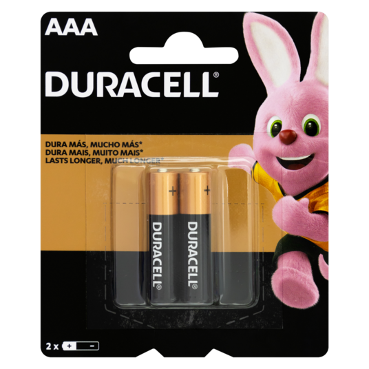 Pilha Alcalina Duracell 2un Npc Aaa