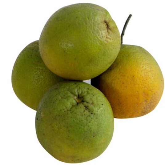 Laranja Seleta Kg Granel