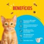 Racao P/gatos Friskies 850g Filhote/frango