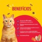 Racao P/gatos Friskies 850g Delicias Granja