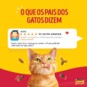 Racao P/gatos Friskies 850g Megamix Adulto