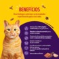 Racao P/gatos Friskies 850g Megamix Castrad
