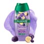 Sabonete Liq.palmolive 250ml Smoothie Cremos