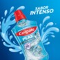 Enxaguante Bucal Colgate L750p500ml S/alc.plax Ice