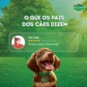 Papinha P/caes Dog Chow 85g Filh.fgo.leite