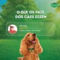 Papinha P/caes Dog Chow 85g Ad.carne Arroz