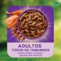 Papinha P/caes Dog Chow 85g Ad.triplopr.slm