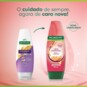 Cond.palmolive 315ml Lisos Radiantes
