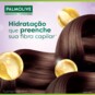 Shampoo Palmolive 315ml Hialuronico
