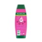 Shampoo Palmolive 315ml Ceramidas Force