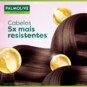 Shampoo Palmolive 315ml Ceramidas Force