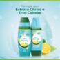 Shampoo Palmolive 315ml Detox