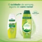 Shampoo Palmolive 315ml Limp.balanceada