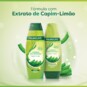 Shampoo Palmolive 315ml Limp.balanceada