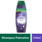 Shampoo Palmolive 315ml Pretos Luminoso