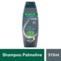 Shampoo Palmolive 315ml Anticaspa Antic