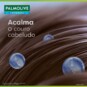 Shampoo Palmolive 315ml Anticaspa Cuid.