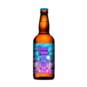 Cerveja Hocus Pocus 500ml Vd Intestellar