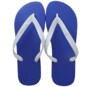 Chinelo Masc.clas.ipanema Azul/branco