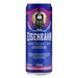 Cerveja Eisenbahn 350ml Ipa Sleek