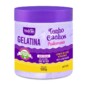 Gelatina Capilar Hidran 500g Acai