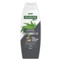 Shampoo Palmolive 350ml Anticoceira Men